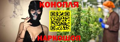прущие крисы Краснознаменск