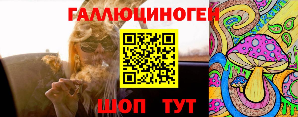 Гай  цены наркотик  Вход с VPN  Галлюциногенные грибы GOLDEN TEACHER 