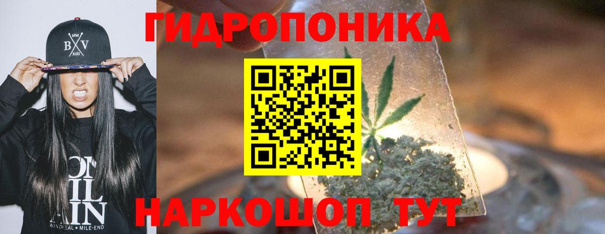 Бошки марихуана THC 21% Гай